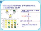 4.2《基因表达与性状的关系》课件PPT+同步练习（含答案）