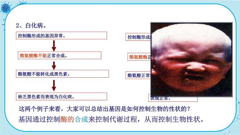 4.2《基因表达与性状的关系》课件PPT+同步练习（含答案）06