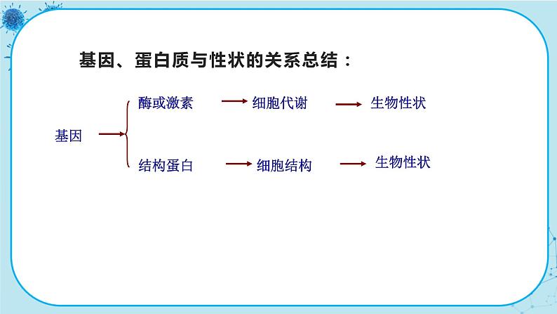 4.2《基因表达与性状的关系》课件PPT+同步练习（含答案）08