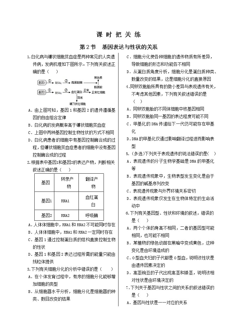 4.2《基因表达与性状的关系》课件PPT+同步练习（含答案）01