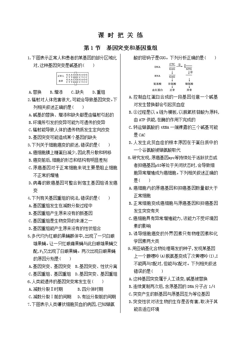 第5章 第1节 基因突变和基因重组第1页