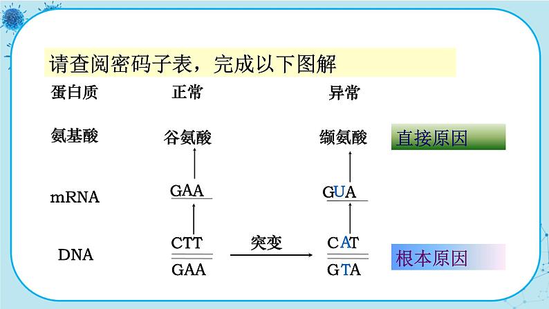 配套新教材-高中生物学-RJ-必修2第5章- 第1节第8页