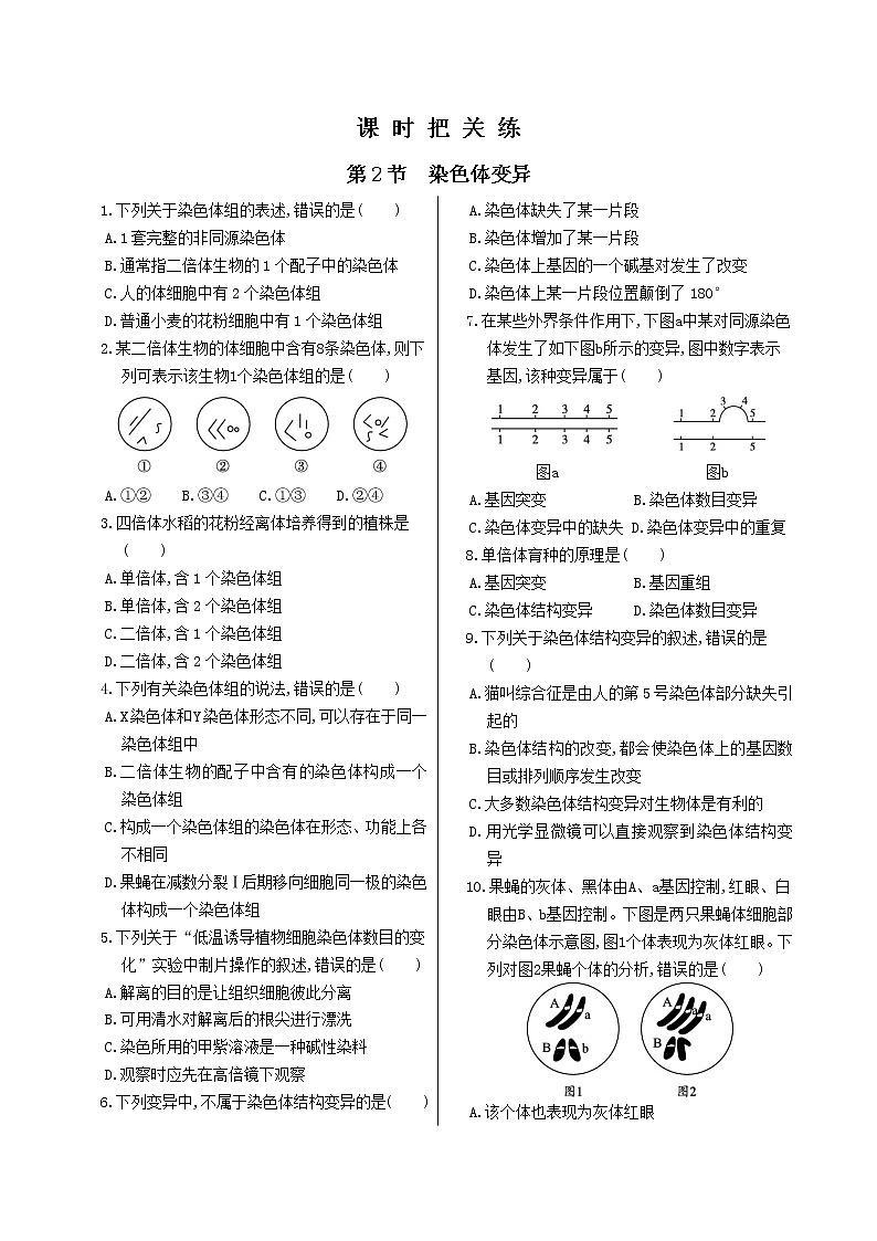 第5章 第2节 染色体变异第1页