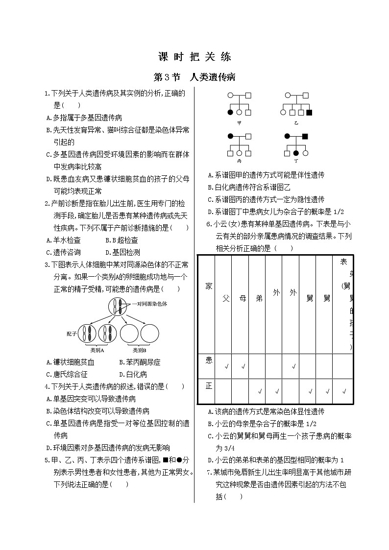 5.3《人类遗传病》课件PPT+同步练习（含答案）01