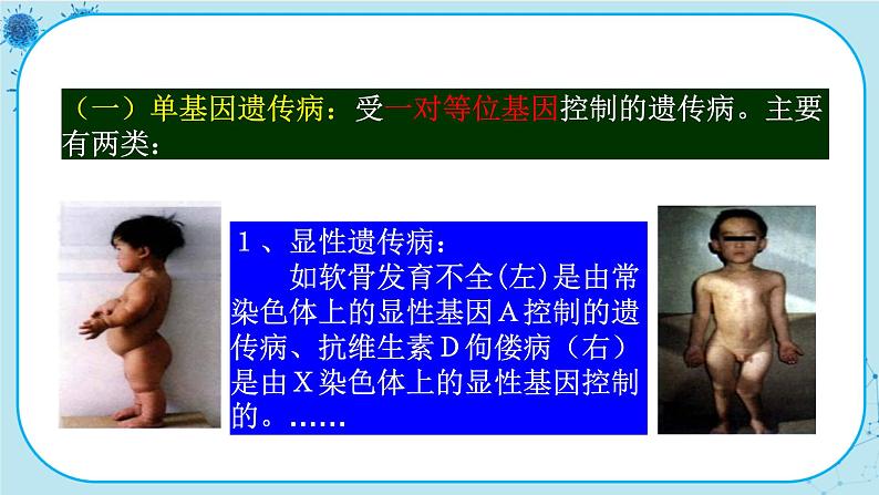 5.3《人类遗传病》课件PPT+同步练习（含答案）06