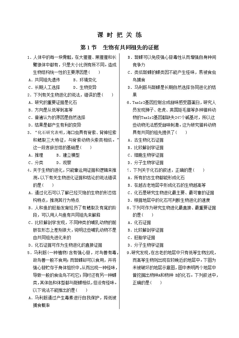 6.1 《生物有共同祖先的证据》课件PPT+同步练习（含答案）01