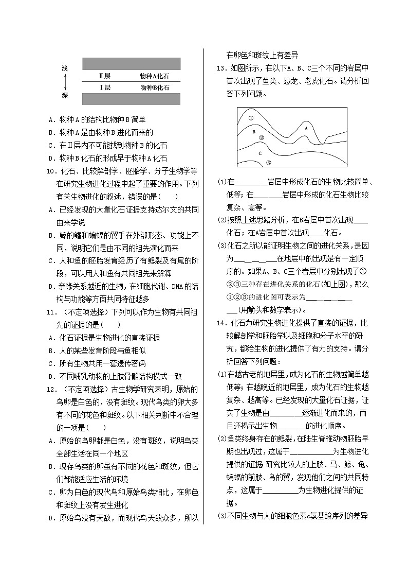 6.1 《生物有共同祖先的证据》课件PPT+同步练习（含答案）02