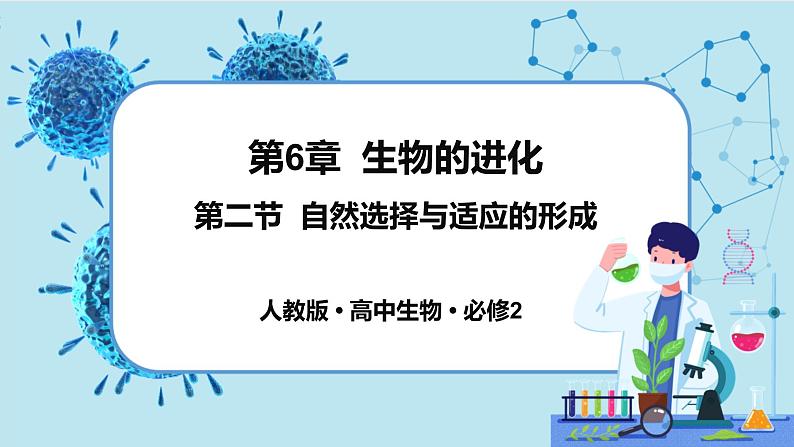 6.2《自然选择与适应的形成》课件PPT+同步练习（含答案）01