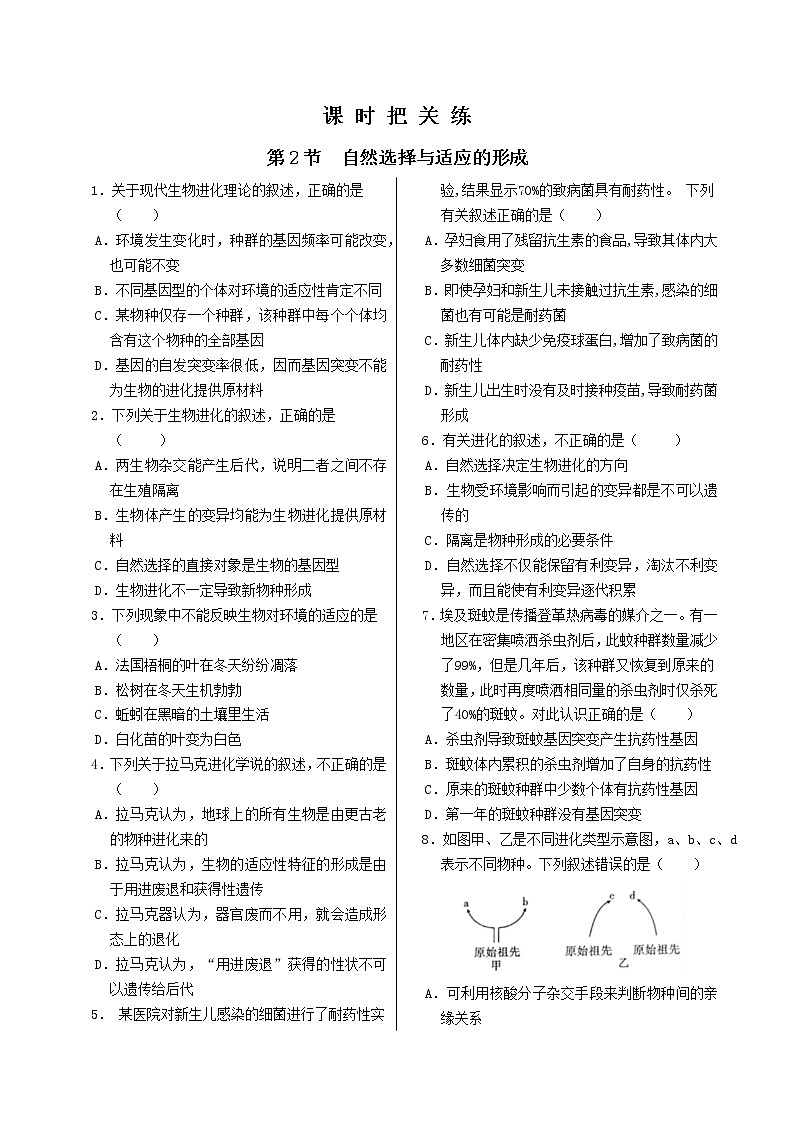 6.2《自然选择与适应的形成》课件PPT+同步练习（含答案）01