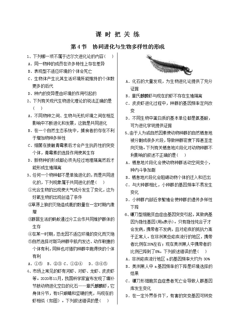6.4 《协同进化与生物多样性的形成》课件PPT+同步练习（含答案）01