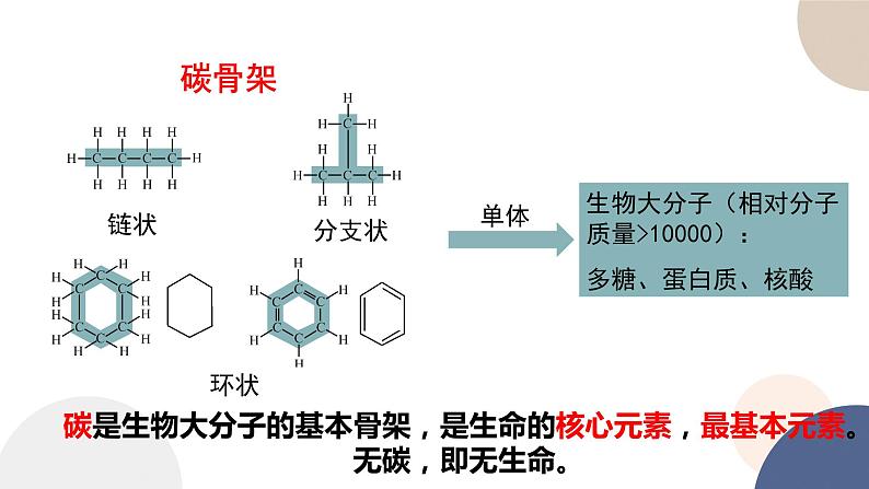 第一章- 第二节  细胞中的糖类和脂质（课件PPT）05