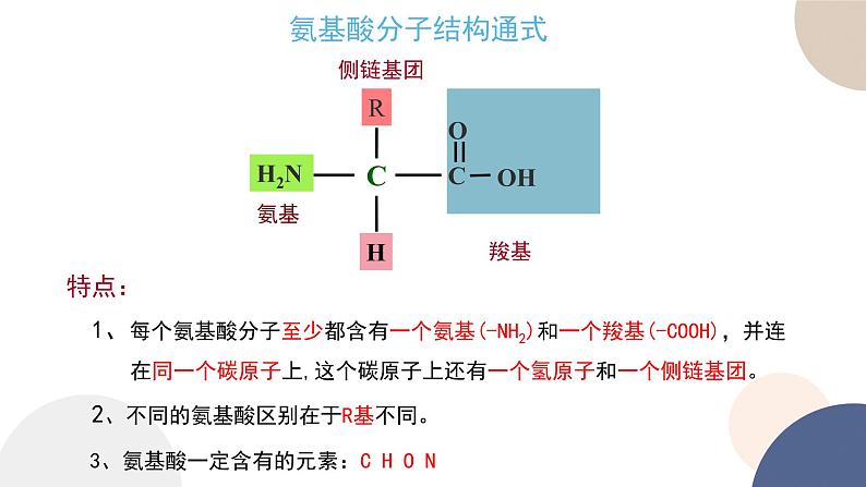 第一章- 第三节 细胞中的蛋白质和核酸 课时1（课件PPT）第6页