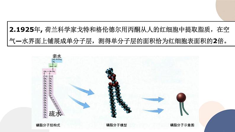 第二章- 第二节  细胞——生命活动的基本单位 课时1（课件PPT）05