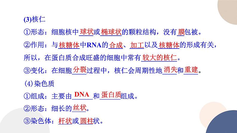 第二章- 第二节  细胞——生命活动的基本单位 课时3（课件PPT）05