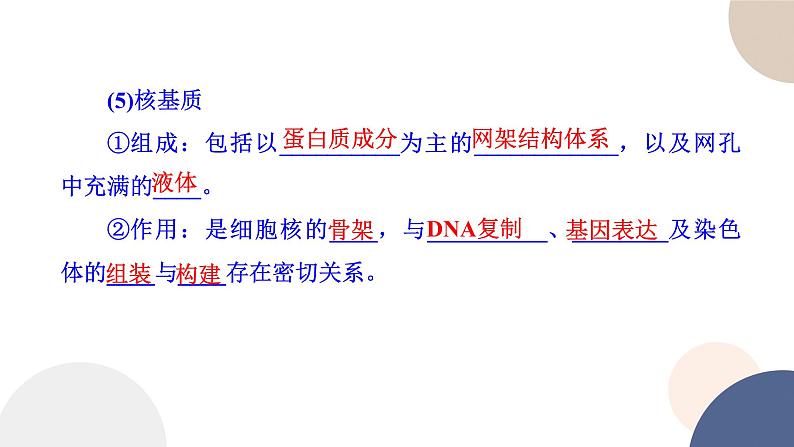 第二章- 第二节  细胞——生命活动的基本单位 课时3（课件PPT）08