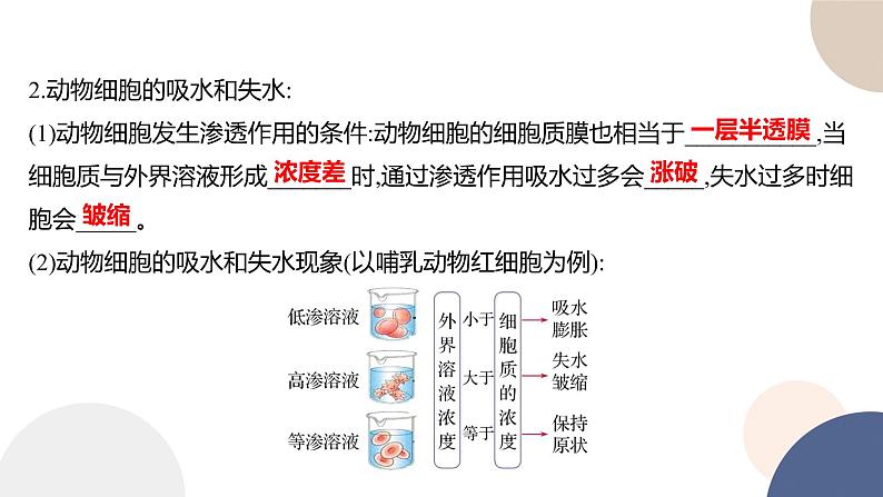 第二章- 第三节  物质进出细胞的运输方式 课时1（课件PPT）03