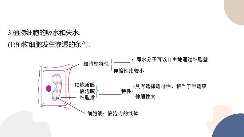 第二章- 第三节  物质进出细胞的运输方式 课时1（课件PPT）04