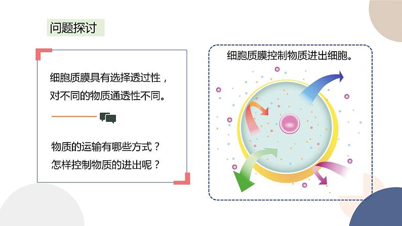 第二章- 第三节  物质进出细胞的运输方式 课时2（课件PPT）02