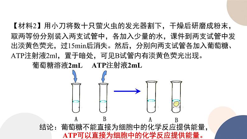 第三章- 第一节  生命活动需要酶和能源物质（课件PPT）04