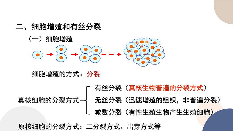 第四章- 第一节  细胞增殖（课件PPT）06
