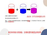 第一章 第二节 分离定律（课件PPT）