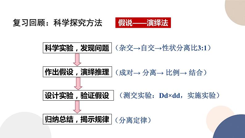 第一章 第三节 自由组合定律（课件PPT）02