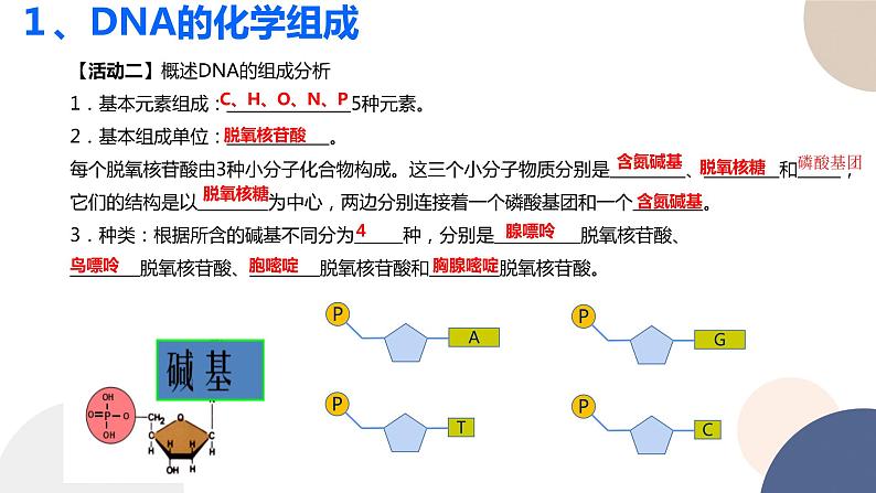 第二章 第二节 DNA的结构和复制（第1课时）（课件PPT）第4页