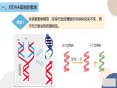 第二章 第二节 DNA的结构和复制（第2课时）（课件PPT）