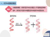 第二章 第二节 DNA的结构和复制（第2课时）（课件PPT）
