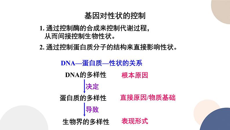 第二章 第三节 遗传信息控制生物的性状（第2课时）（课件PPT）06