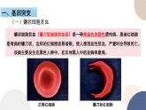 第三章 第二节 基因突变和基因重组（课件PPT）