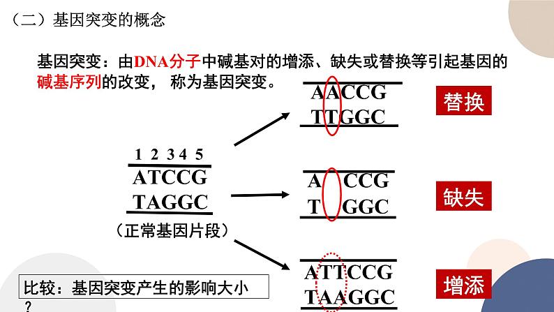 第三章 第二节 基因突变和基因重组（课件PPT）08