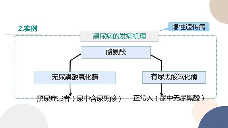 第三章 第三节 关注人类遗传病（课件PPT）第7页