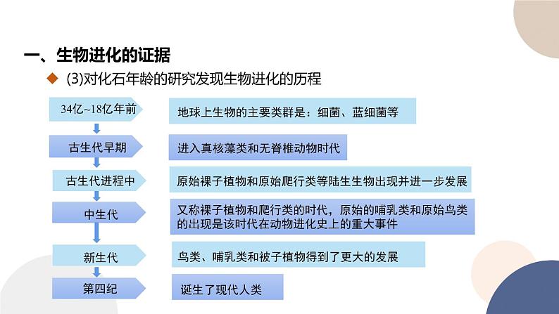 第四章 第二节 生物的多样性和适应性是进化的结果（课件PPT）第4页