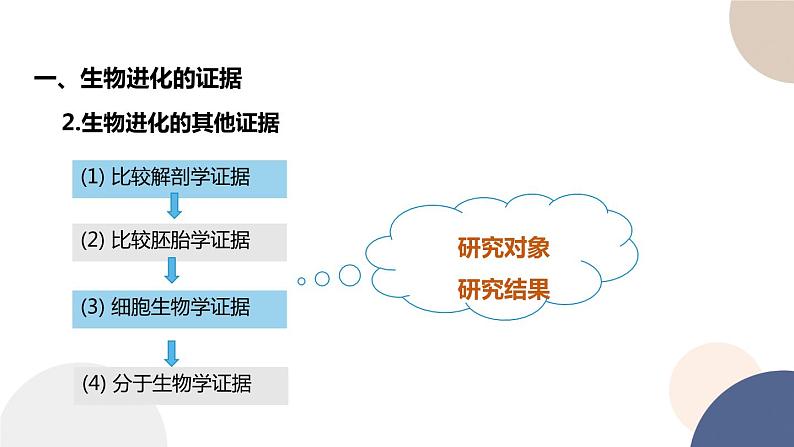 第四章 第二节 生物的多样性和适应性是进化的结果（课件PPT）第6页