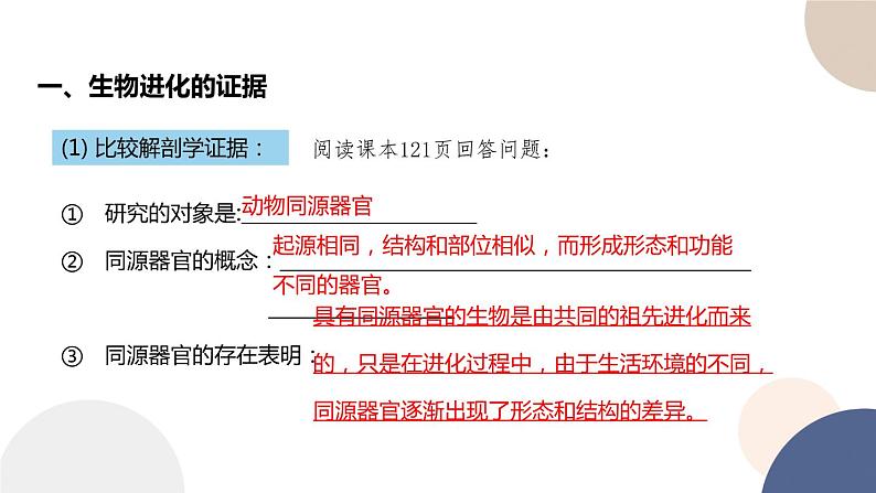 第四章 第二节 生物的多样性和适应性是进化的结果（课件PPT）第7页