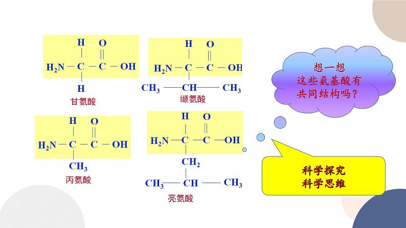 第一章- 第二节 生物大分子以碳链为骨架 课时2（课件PPT）06