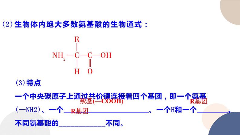 第一章- 第二节 生物大分子以碳链为骨架 课时2（课件PPT）07