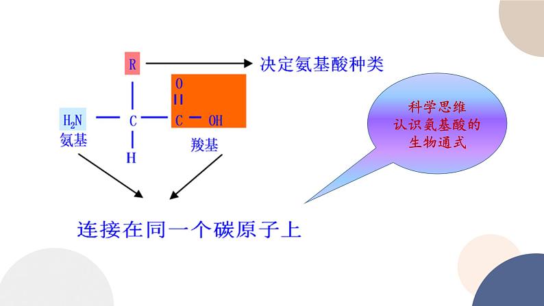 第一章- 第二节 生物大分子以碳链为骨架 课时2（课件PPT）08