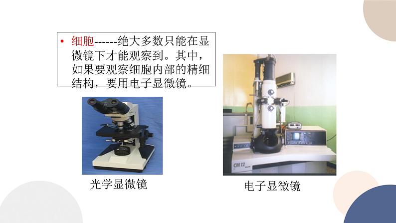 第二章- 第一节 细胞是生命的单位（课件PPT）07