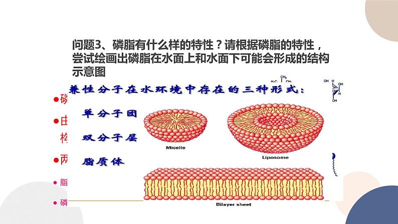 第二章- 第二节 细胞膜控制细胞与周围环境的联系（课件PPT）08