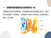第二章- 第五节 细胞在结构和功能上是一个统一整体（课件PPT）