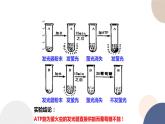 第三章- 第一节 ATP是细胞内的“能量通货”（课件PPT）