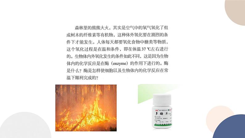 第三章- 第二节 酶是生物催化剂（课件PPT）第3页