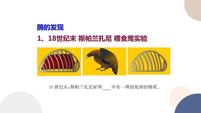 第三章- 第二节 酶是生物催化剂（课件PPT）第4页