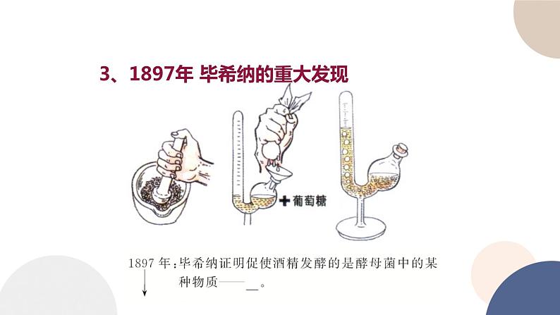 第三章- 第二节 酶是生物催化剂（课件PPT）第6页
