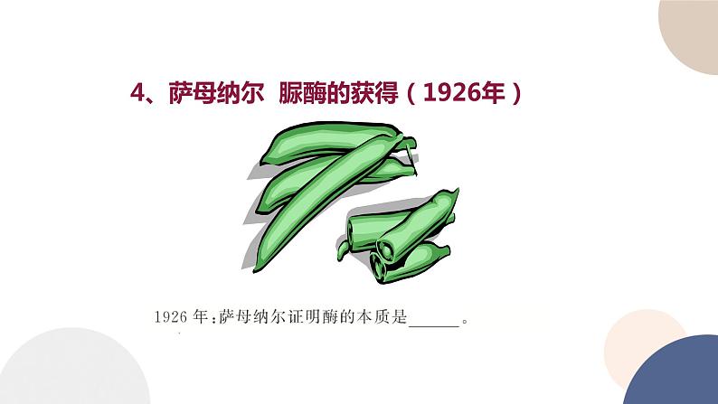 第三章- 第二节 酶是生物催化剂（课件PPT）第7页