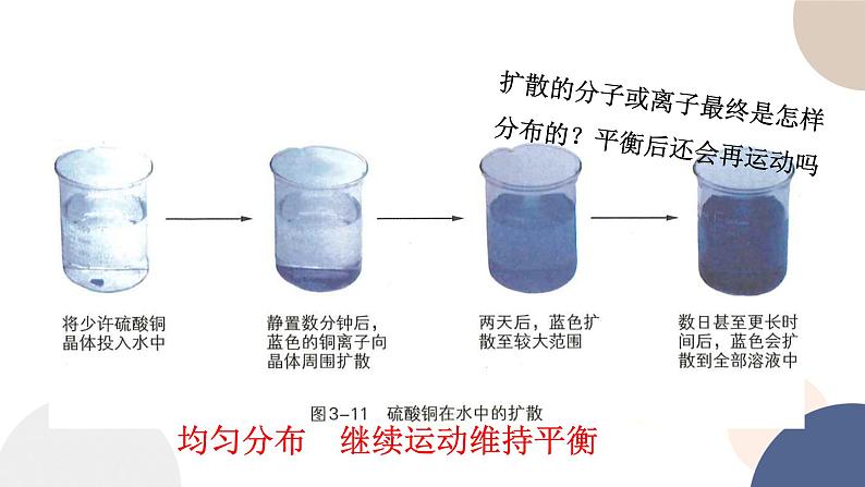 第三章- 第三节 物质通过多种方式出入细胞（课件PPT）06