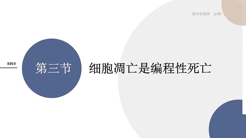 第四章- 第三节 细胞凋亡是编程性死亡（课件PPT）第1页