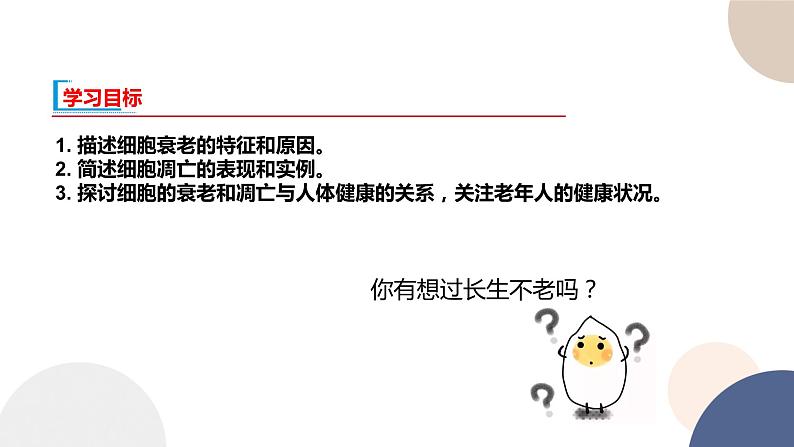 第四章- 第三节 细胞凋亡是编程性死亡（课件PPT）第2页